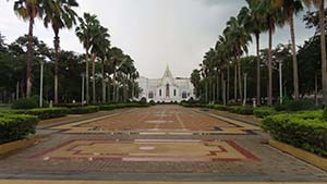 NbNĊg